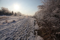Canon EOS 5D Mark II, 2011:02:23 17:59:56 -- 1/320 sec, f/11.0.  No Flash, Compulsory.5616x3744 Off.