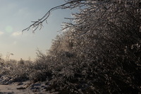 Canon EOS 5D Mark II, 2011:02:23 18:01:07 -- 1/500 sec, f/13.0.  No Flash, Compulsory.5616x3744 Off.