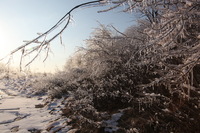 Canon EOS 5D Mark II, 2011:02:23 18:01:23 -- 1/250 sec, f/10.0.  No Flash, Compulsory.5616x3744 Off.