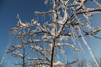 Canon EOS 5D Mark II, 2011:02:23 18:08:58 -- 1/200 sec, f/10.0.  No Flash, Compulsory.5616x3744 Off.