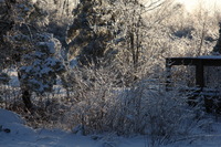 Canon EOS 5D Mark II, 2011:02:23 18:10:33 -- 1/400 sec, f/7.1.  No Flash, Compulsory.5616x3744 Off.