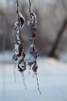 Canon EOS 5D Mark II, 2011:02:23 18:20:40 -- 1/160 sec, f/5.6.  No Flash, Compulsory.5616x3744 Off.