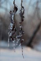 Canon EOS 5D Mark II, 2011:02:23 18:20:53 -- 1/200 sec, f/6.3.  No Flash, Compulsory.5616x3744 Off.