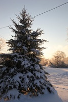 Canon EOS 5D Mark II, 2011:02:23 18:24:18 -- 1/200 sec, f/9.0.  No Flash, Compulsory.5616x3744 Off.