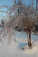 Canon EOS 5D Mark II, 2011:02:23 18:31:23 -- 1/125 sec, f/8.0.  No Flash, Compulsory.5616x3744 Off.