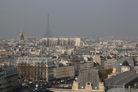 Canon EOS 5D Mark II, 2011:03:29 04:20:43 -- 1/500 sec, f/8.0.  No Flash, Compulsory.5616x3744 Off.