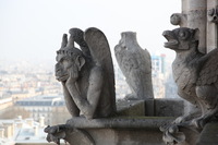 Canon EOS 5D Mark II, 2011:03:29 04:21:19 -- 1/160 sec, f/5.0.  No Flash, Compulsory.5616x3744 Off.