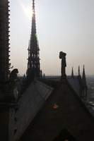 Canon EOS 5D Mark II, 2011:03:29 04:23:52 -- 1/400 sec, f/14.0.  No Flash, Compulsory.5616x3744 Off.