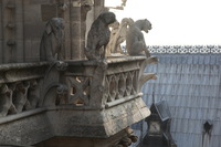 Canon EOS 5D Mark II, 2011:03:29 04:24:15 -- 1/200 sec, f/6.3.  No Flash, Compulsory.5616x3744 Off.