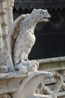 Canon EOS 5D Mark II, 2011:03:29 04:24:24 -- 1/125 sec, f/5.6.  No Flash, Compulsory.5616x3744 Off.