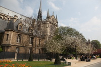 Canon EOS 5D Mark II, 2011:03:29 07:50:28 -- 1/200 sec, f/10.0.  No Flash, Compulsory.5616x3744 Off.