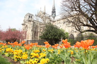 Canon EOS 5D Mark II, 2011:03:29 07:53:26 -- 1/125 sec, f/8.0.  No Flash, Compulsory.5616x3744 Off.