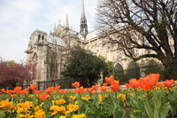 Canon EOS 5D Mark II, 2011:03:29 07:53:38 -- 1/125 sec, f/8.0.  No Flash, Compulsory.5616x3744 Off.