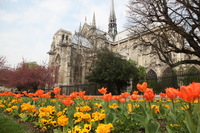 Canon EOS 5D Mark II, 2011:03:29 07:53:53 -- 1/160 sec, f/8.0.  No Flash, Compulsory.5616x3744 Off.