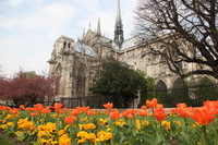 Canon EOS 5D Mark II, 2011:03:29 07:53:59 -- 1/160 sec, f/8.0.  No Flash, Compulsory.5616x3744 Off.