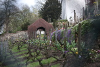 Canon EOS 5D Mark II, 2011:03:29 13:48:54 -- 1/100 sec, f/4.0.  No Flash, Compulsory.5616x3744 Off.