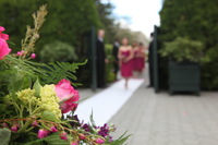 Canon EOS 5D Mark II, 2011:04:30 12:14:36 -- 1/80 sec, f/6.3.  No Flash, Compulsory.5616x3744 Off.