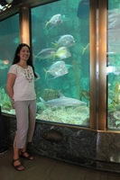 Canon EOS 5D Mark II, 2011:06:28 17:15:41 -- 1/40 sec, f/4.0.  No Flash, Compulsory.5616x3744 Off.
