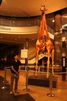 Canon EOS 5D Mark II, 2011:07:04 10:21:59 -- 1/40 sec, f/4.0.  No Flash, Compulsory.5616x3744 Off.