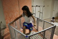 Canon EOS 5D Mark II, 2011:08:07 14:24:58 -- 1/25 sec, f/4.0.  No Flash, Compulsory.5616x3744 Off.