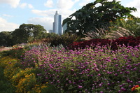 Canon EOS 5D Mark II, 2011:09:04 18:10:30 -- 1/25 sec, f/18.0.  No Flash, Compulsory.5616x3744 Off.