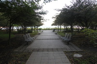 Canon EOS 5D Mark II, 2011:09:20 08:11:41 -- 1/30 sec, f/4.0.  No Flash, Compulsory.5616x3744 Off.