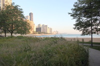 Canon EOS 5D Mark II, 2011:09:20 08:12:40 -- 1/60 sec, f/5.6.  No Flash, Compulsory.5616x3744 Off.