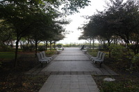 Canon EOS 5D Mark II, 2011:09:20 08:43:05 -- 1/60 sec, f/8.0.  No Flash, Compulsory.5616x3744 Off.