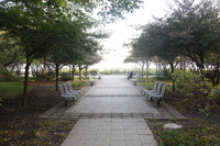 Canon EOS 5D Mark II, 2011:09:20 08:43:06 -- 1/30 sec, f/8.0.  No Flash, Compulsory.5616x3744 Off.