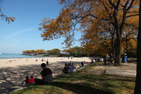 Canon EOS 5D Mark II, 2011:10:08 13:40:45 -- 1/200 sec, f/10.0.  No Flash, Compulsory.5616x3744 Off.