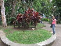 Canon PowerShot A590 IS, 2011:12:23 16:46:56 -- 1/60 sec, f/3.2.  No Flash, Auto.3264x2448 Red-Eye Reduction (Auto).