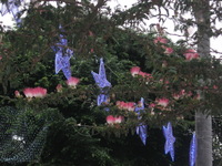 Canon PowerShot A590 IS, 2011:12:23 17:50:53 -- 1/60 sec, f/5.5.  Flash, Auto, Red-Eye Reduce.3264x2448 Red-Eye Reduction (Auto).