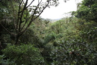 Canon EOS 5D Mark II, 2011:12:25 09:21:57 -- 1/40 sec, f/4.5.  No Flash, Compulsory.5616x3744 Off.