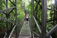 Canon EOS 5D Mark II, 2011:12:25 09:42:58 -- 1/20 sec, f/4.0.  No Flash, Compulsory.5616x3744 Off.