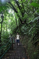 Canon EOS 5D Mark II, 2011:12:25 09:54:44 -- 1/25 sec, f/4.0.  No Flash, Compulsory.5616x3744 Off.