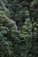 Canon EOS 5D Mark II, 2011:12:25 10:00:23 -- 1/125 sec, f/4.0.  No Flash, Compulsory.5616x3744 Off.