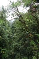 Canon EOS 5D Mark II, 2011:12:25 10:00:51 -- 1/50 sec, f/5.0.  No Flash, Compulsory.5616x3744 Off.