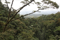 Canon EOS 5D Mark II, 2011:12:25 10:14:22 -- 1/100 sec, f/7.1.  No Flash, Compulsory.5616x3744 Off.