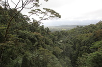 Canon EOS 5D Mark II, 2011:12:25 10:14:35 -- 1/125 sec, f/7.1.  No Flash, Compulsory.5616x3744 Off.