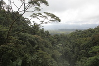 Canon EOS 5D Mark II, 2011:12:25 10:14:43 -- 1/125 sec, f/8.0.  No Flash, Compulsory.5616x3744 Off.