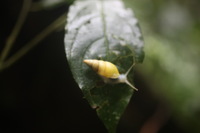 Canon EOS 5D Mark II, 2011:12:25 10:20:50 -- 1/40 sec, f/2.8.  No Flash, Compulsory.5616x3744 Off.