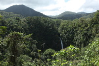 Canon EOS 5D Mark II, 2011:12:25 11:59:37 -- 1/125 sec, f/8.0.  No Flash, Compulsory.5616x3744 Off.