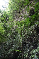 Canon EOS 5D Mark II, 2011:12:25 12:05:28 -- 1/40 sec, f/4.0.  No Flash, Compulsory.5616x3744 Off.