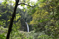 Canon EOS 5D Mark II, 2011:12:25 13:03:29 -- 1/100 sec, f/7.1.  No Flash, Compulsory.5616x3744 Off.