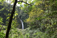 Canon EOS 5D Mark II, 2011:12:25 13:03:30 -- 1/100 sec, f/7.1.  No Flash, Compulsory.5616x3744 Off.