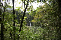 Canon EOS 5D Mark II, 2011:12:25 13:03:41 -- 1/100 sec, f/7.1.  No Flash, Compulsory.5616x3744 Off.