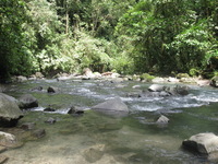 Canon PowerShot A590 IS, 2011:12:25 12:31:27 -- 1/60 sec, f/3.5.  No Flash, Compulsory.3264x2448 Off.