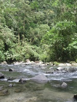 Canon PowerShot A590 IS, 2011:12:25 12:31:33 -- 1/60 sec, f/3.2.  No Flash, Compulsory.3264x2448 Off.