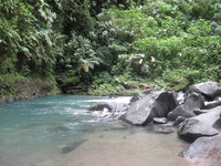 Canon PowerShot A590 IS, 2011:12:25 12:35:17 -- 1/50 sec, f/2.6.  No Flash, Auto.3264x2448 Red-Eye Reduction (Auto).