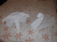 Canon PowerShot A590 IS, 2011:12:25 14:53:49 -- 1/60 sec, f/2.6.  Flash, Auto, Red-Eye Reduce.3264x2448 Red-Eye Reduction (Auto).